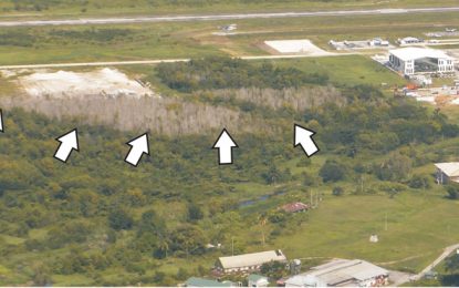 Vegetation on land earmarked for Exxon discoloured from natural causes – OAI