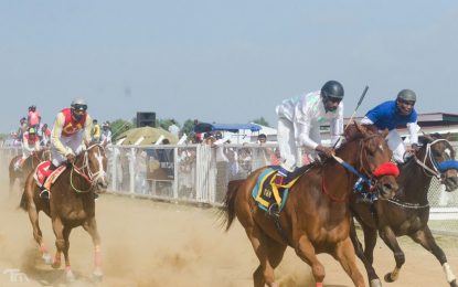 Jumbo Jet Thoroughbred Committee Triple Crown Horseracing Championships  Over 70 horses entered for Sunday’s Triple Crown first leg  Republic Bank on board as sponsors