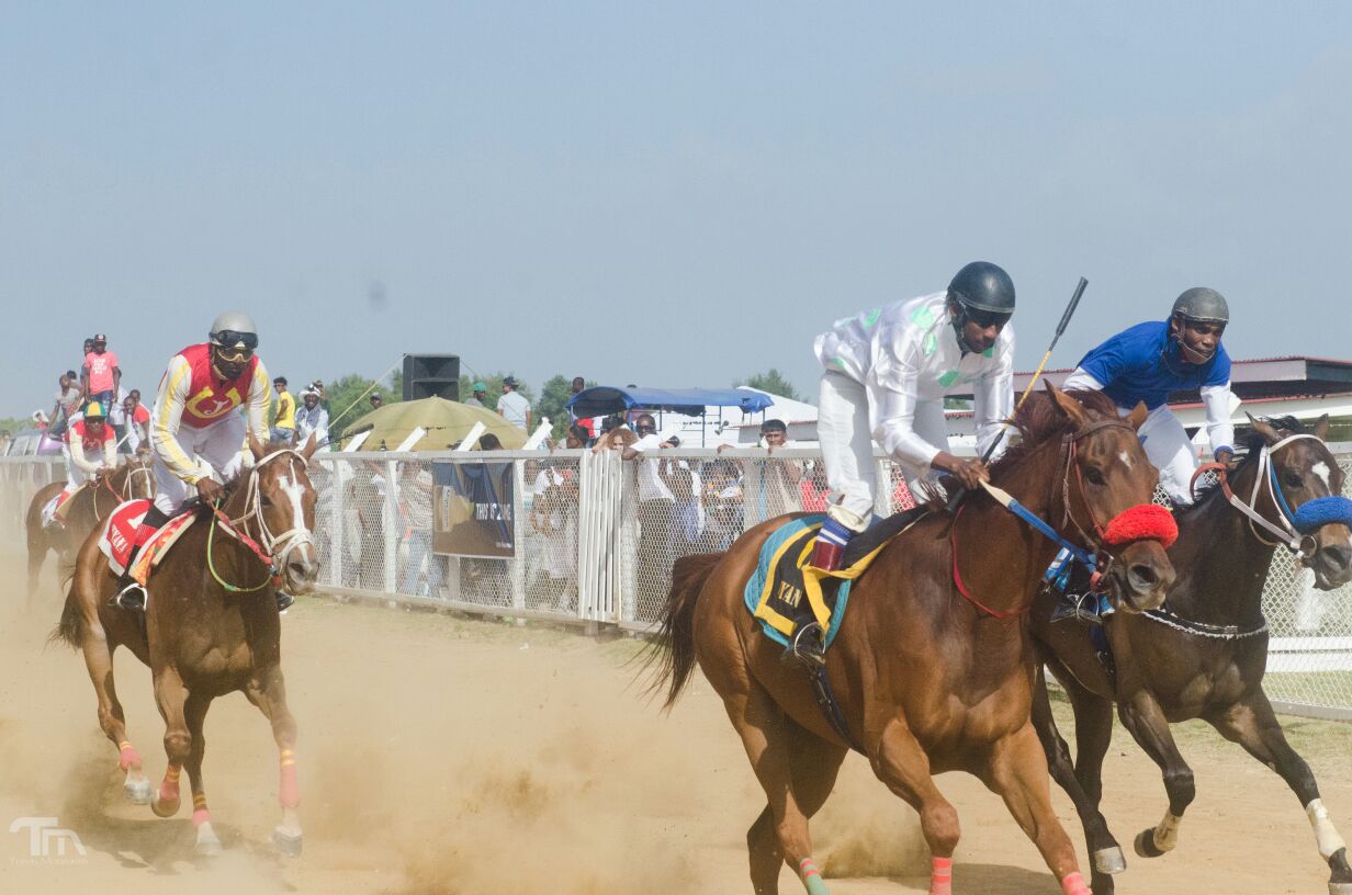Three Horsemen host one-day Gymkhana Horserace meet today