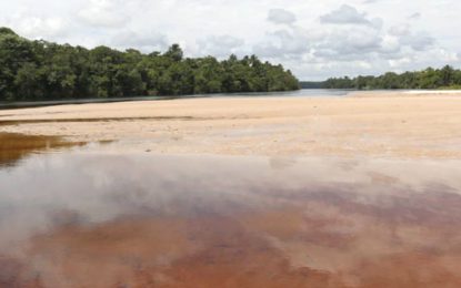 Haven for some, nightmare for others…Erosion at Coomacka creates beach that may soon block Demerara River