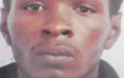 Cow Dam Hustlers get lengthy prison term