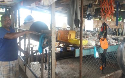 Millions lost in West Demerara flood