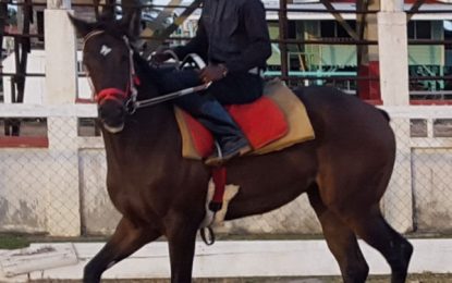 Jumbo Jet Thoroughbred Committee Triple Crown Horseracing Championships….Battle lines drawn as over 70 horses to compete in today’s Triple Crown first leg