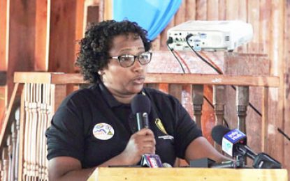 Guyana going green… Solar energy is the future focus for Govt. – Minister Ferguson