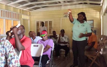 E’bo rice farmers appealing for higher paddy prices