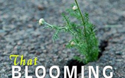 Book Review… When Corruption and Ethics collide