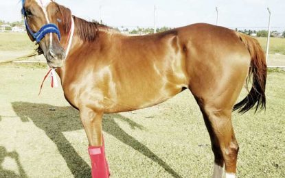 Vera’s Finally looks impressive during exercise