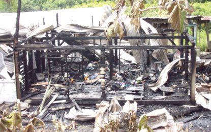 Seven homeless after Albion fire