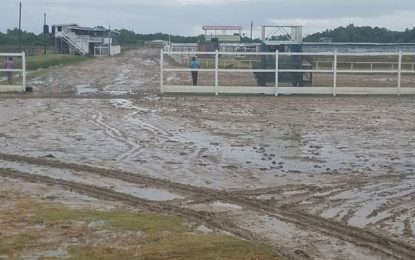 Jumbo Jet Thoroughbred Committee Triple Crown Horseracing Championships….Organisers cancel Triple Crown first leg due to no other available race date