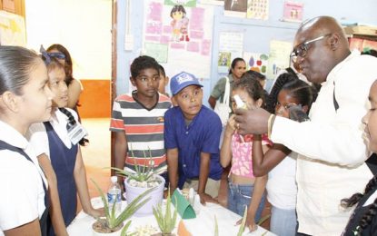 STEAM launches Science Fair in Lethem
