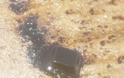 EPA probes traces of oil along Kingston shoreline