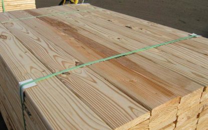 Pine importation last year exceeded production of local lumber – GFC