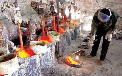 Guyana reserves over 300,000 acres for rare earth search