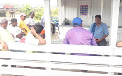 Black Bush rice farmers getting 45 bags per acre