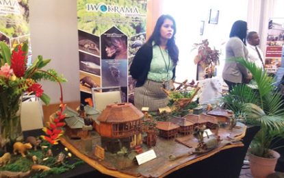 Business Ministry pushing for expanded hinterland-based tourism