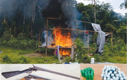 Guns, ganja seized in Berbice River eradication exercise