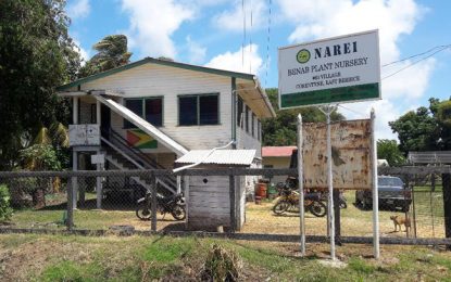 Documents burnt after audit ordered on Corentyne Water Users Association