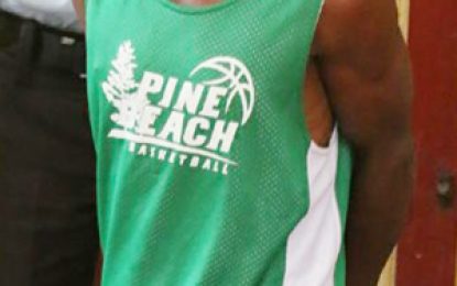 Six months for stealing weeding machine from station