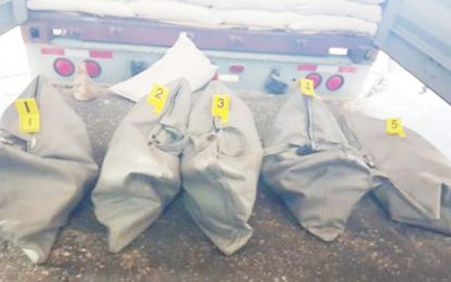 Drug-related corruption evident in criminal justice system  – U.S report