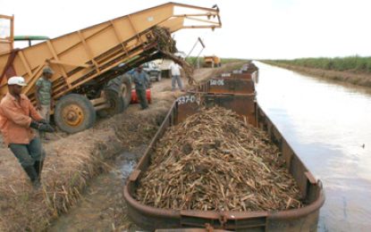 GuySuCo’s assets still being evaluated by PwC – Minister Harmon
