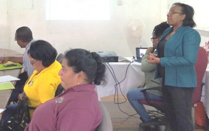Policy to reintegrate adolescent mothers in school system highlighted