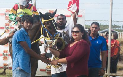 Miss Olympic looking to dominate for two more wins Sunday at Rising Sun