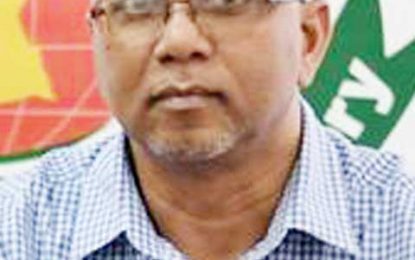 Better prices, higher yields in rice first crop