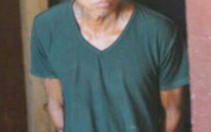 Miner remanded for chopping Brazilian to death