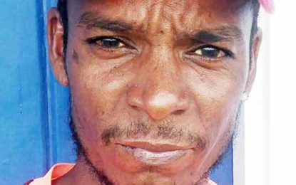 Reid, Adams shine as Farm record consecutive wins