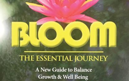 The Path to Self Realization