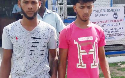 Rose Hall guard’s murder… Teen store employees, mom remanded