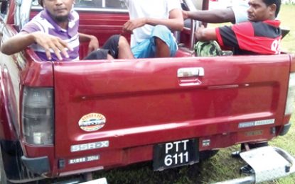 Father, sons to face judge and jury for Angoy’s Avenue chopping spree