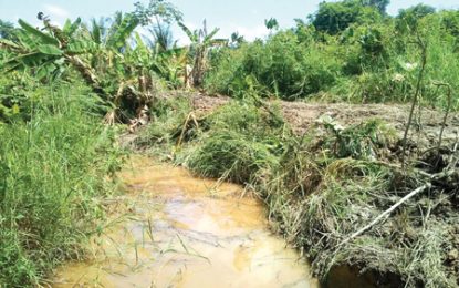 Govt. project clashes with private farm lands on E’bo coast