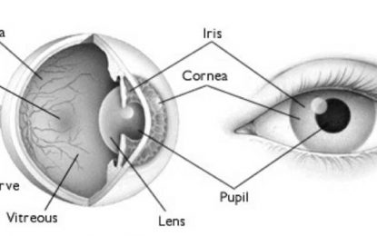 I’ve never had an eye examination. What is involved?