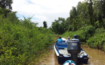 Friendship Canal worsens in weeks