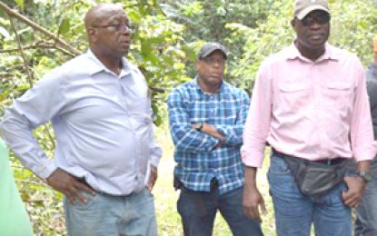 Bartica-Mahdia road link nearing completion