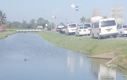 Body found in Carifesta Avenue trench