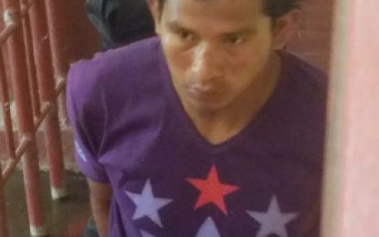 Ganja farmer jailed 3 years