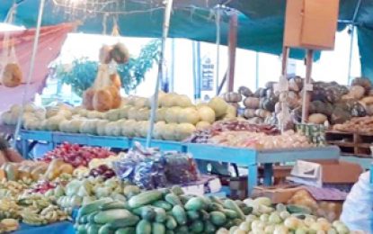 NAREI researching solution for disease affecting watermelons