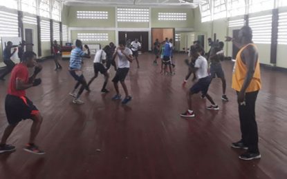 20 fights each night to highlight GBA’s National Novice this weekend