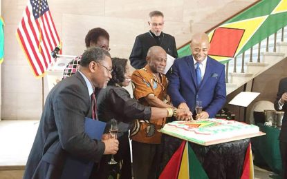 Army ranks hoist Golden Arrowhead in Brooklyn’s flag ceremony