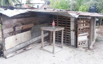 “Imprisoned” man rescued from backyard pen