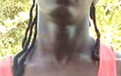 Two “missing” fishermen found to be “alive and well”