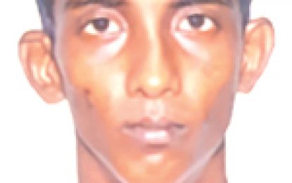 Mon Repos man dies following stabbing at barbeque event