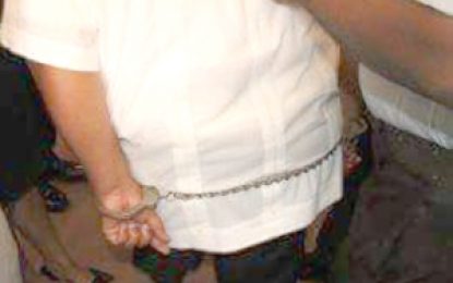 Ashni Singh, Winston Brassington  handcuffed, granted bail