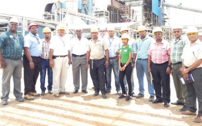 Firewood testing at Skeldon co-generation plant deemed successful