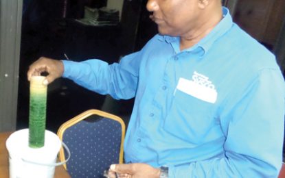 Pigeon Island resident worried about water quality