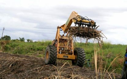 Regional sugar companies look to reposition for CARICOM markets