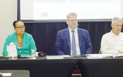 City Hall restoration estimated at over $400M –  EU delegation moves closer to finalizing plan