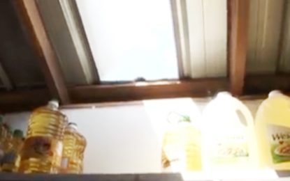 Bandits cut open roof, terrorize West Dem shop owner and family